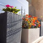 Pandora 3* Tirana